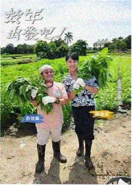 深夜免费追剧网站深夜厨房实验